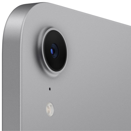 iPad mini 8,3 po 256 Go avec Wi-Fi d'Apple - Gris cosmique
