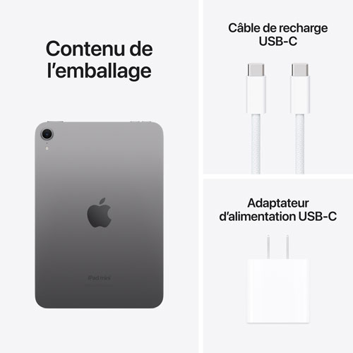 iPad mini 8,3 po 256 Go avec Wi-Fi d'Apple (7e génération) - Gris cosmique