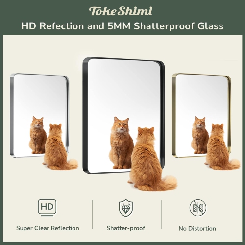 Open Box – TokeShimi Modern Metal Frame Bathroom Vanity Wall Mirror - 60x30 - Gold