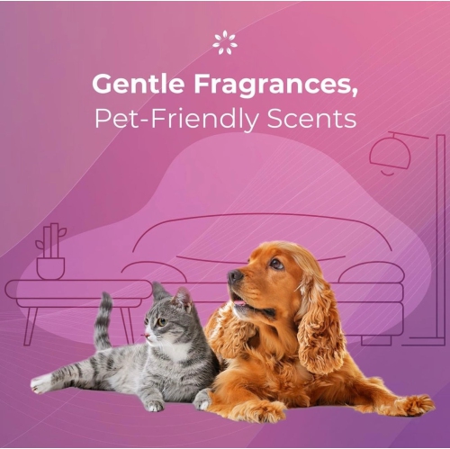 Dr. Scent Small Luxury Aroma Diffuser supports Mobile APP Control - White