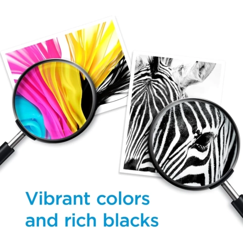 HP 67XL 67 XL Black High-Yield Ink Cartridge - Compatible with DeskJet 1255, 2700, 4100 Series & Envy 6000, 6400 Series | 3YM57AN