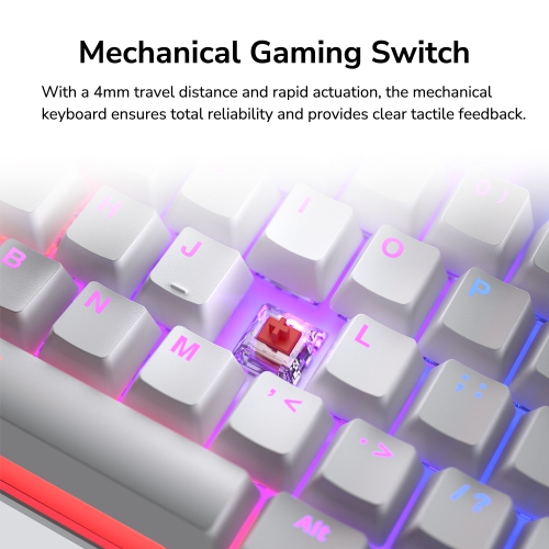 Cougar Ultimus EX RGB Wired Mechanical Gaming Keyboard – Full-Size 104-Keys, Metal Frame, Doubleshot Keycaps, Black