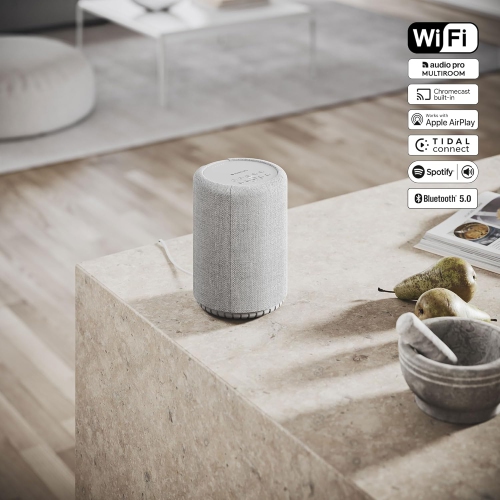 Haut-parleur sans fil Bluetooth A10 MKII Audio Pro, haute fidélité iPhone, Wi-Fi/entrée 3,5 mm, haut-parleur portatif