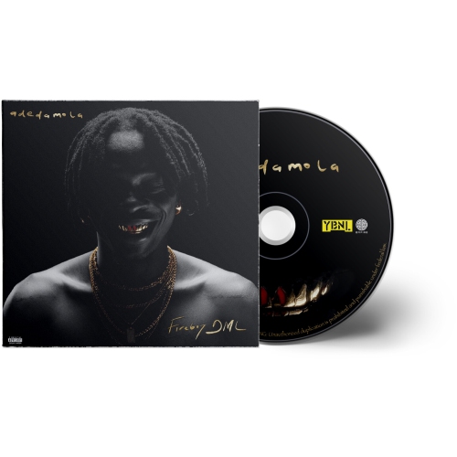 Fireboy DML Adedamola DISCS] Best Buy Canada