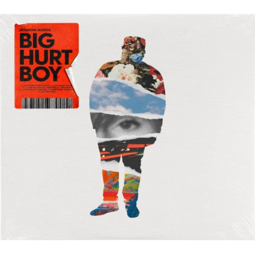 Donovan Woods - Big Hurt Boy - [CD]