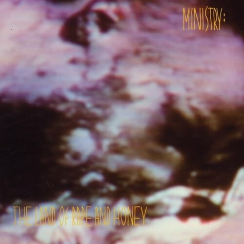 Ministry - The Land Of Rape And Honey - - [Vinyl]