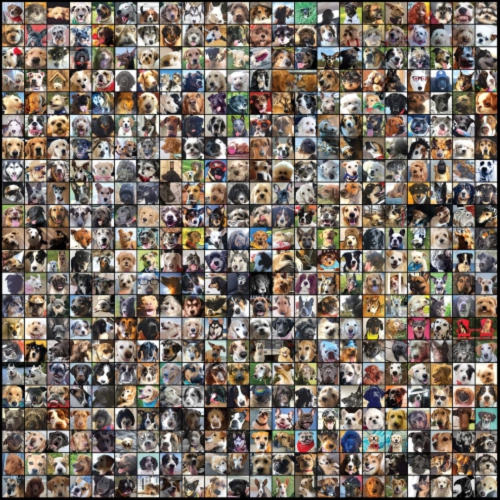 Matt Mays - Dog City [Import] - - [Vinyl]