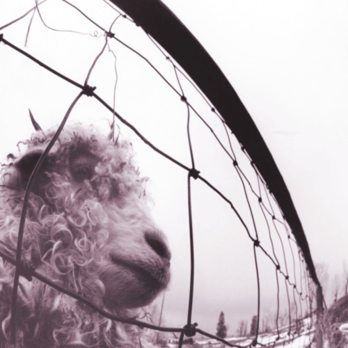 EPIC/LEGACY  Pearl Jam - Vs. (30Th Anniversary Edition) - (180 Gram Vinyl, 45 Rpm, Anniversary Edition) - [Vinyl] 