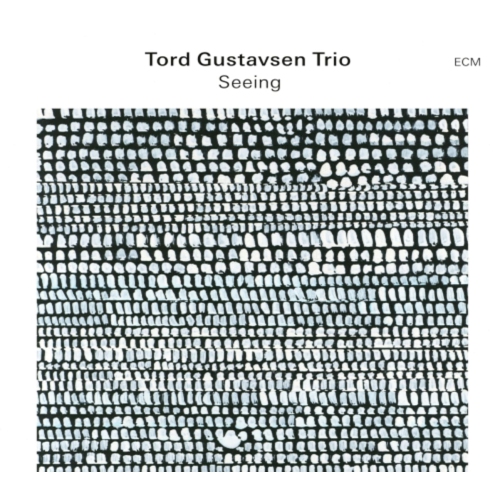 Tord Gustavsen Trio - SEEING - CD