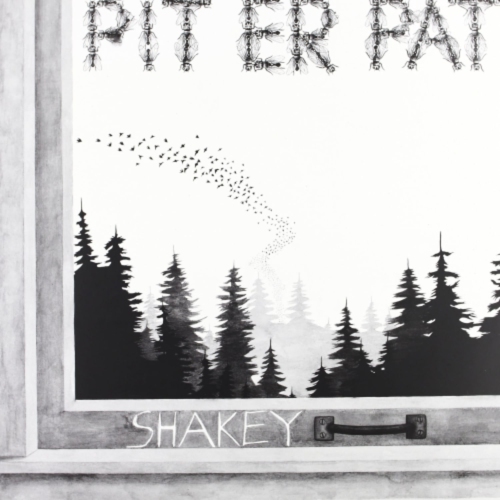 THRILL JOCKEY  Pit Er Pat - Shakey - [Vinyl]