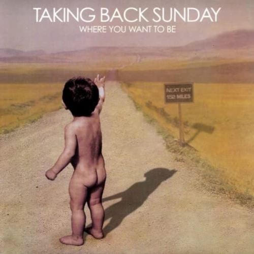 Taking Back Sunday - Where You Want to Be - [Vinyl]