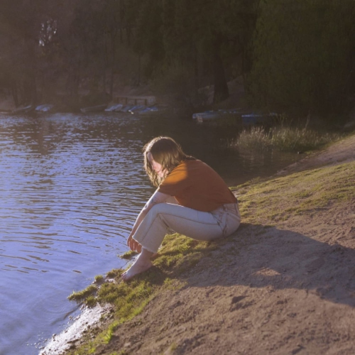 Boy Scouts - Wayfinder - [Vinyl]