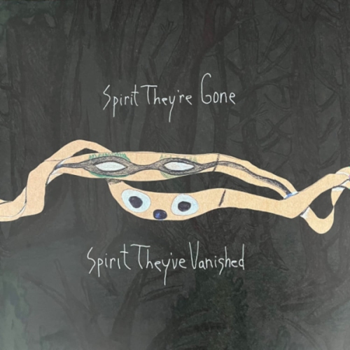 Animal Collective - Spirit They're Gone Spirit They've Vanished - - [Vinyl]
