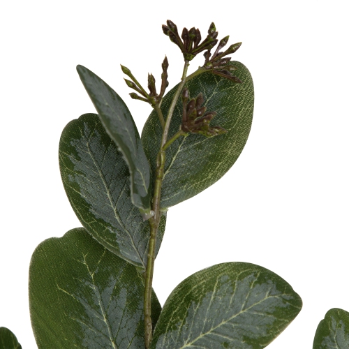 Vaporisateurs artificiels de feuilles d'eucalyptus ensemencées - 33 po - Vert - Ensemble de 6