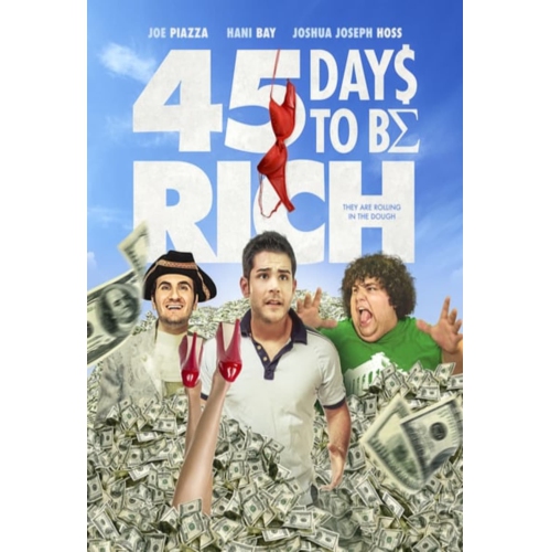 Image 1 of 1.. 45 Days to be Rich - dvd