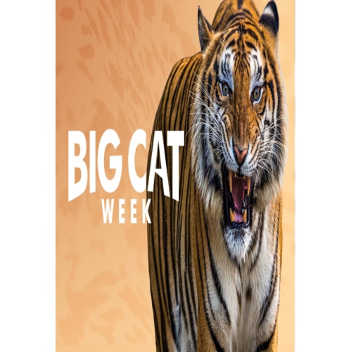 Image 1 de 1.. Big Cat Week 2015 - dvd