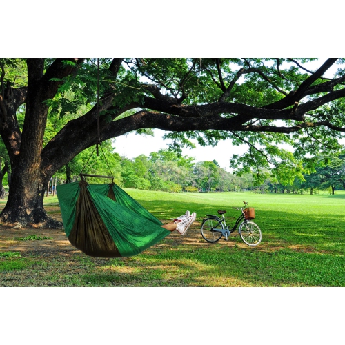 Hidden Wild Hemlock XL Hammock Chair - 57.5"
