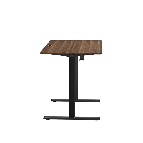 Huanuo 100 x 60cm Walnut Electric Height Adjustable Standing Desk. Perfect for a Computer Workstation Home & Office. Includes Free Shipping