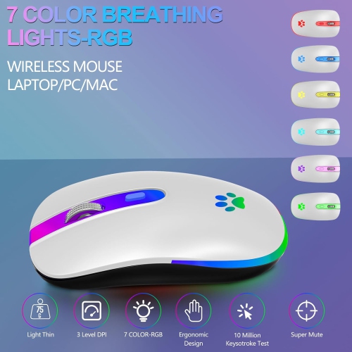 Wireless Mouse, Rechargeable LED Wireless Bluetooth Mouse,Portable USB 2.4G Wireless Bluetooth Mice with USB & Type-c Receiver, White