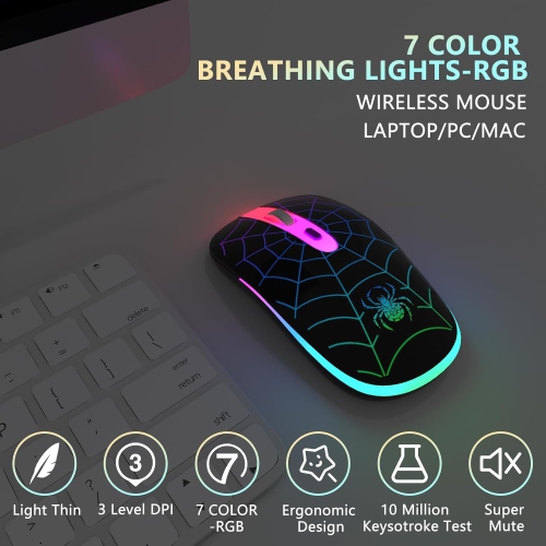 Souris sans fil, souris Bluetooth sans fil DEL rechargeable, souris Bluetooth sans fil USB 2,4 GHz avec récepteur USB et type C, araignée noire