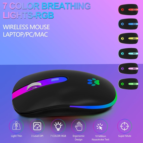 Souris sans fil, souris Bluetooth sans fil DEL rechargeable, souris Bluetooth sans fil USB 2,4 GHz avec récepteur USB et type C, noir