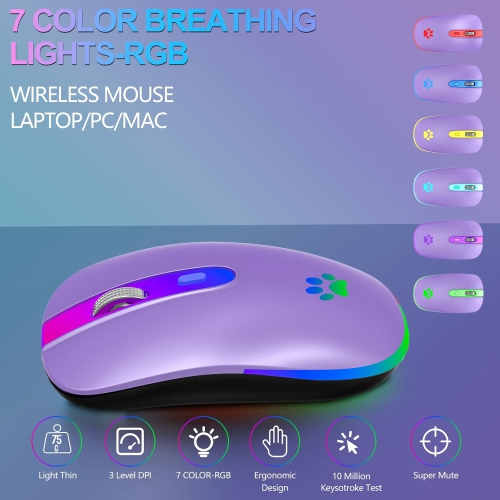 Souris sans fil, souris Bluetooth sans fil DEL rechargeable, souris Bluetooth sans fil USB 2,4 GHz portative avec récepteur USB et type C, violet