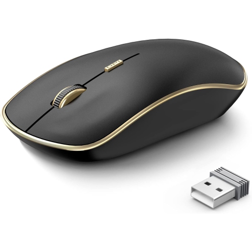 Souris sans fil 2,4 GHz, souris sans fil silencieuse, souris sans fil ergonomique portative avec 5 niveaux de ppp réglables, souris sans fil pour