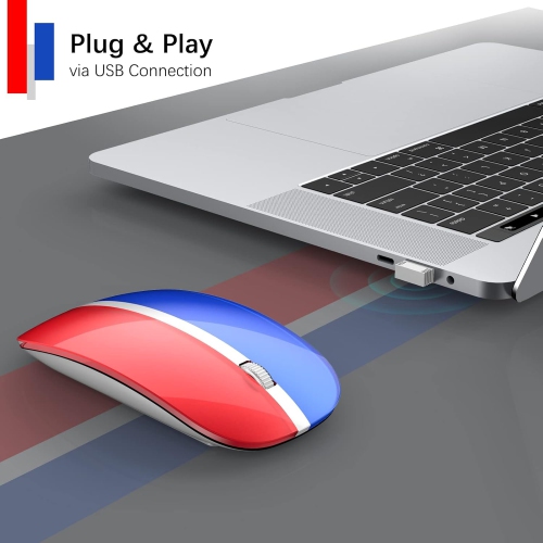 2.4G Computer Mouse Wireless, Silent Wireless Mouse, Portable Ergonomic Wireless Mouse with 5 Adjustable DPI Levels, Cordless Mouse for Desktop,