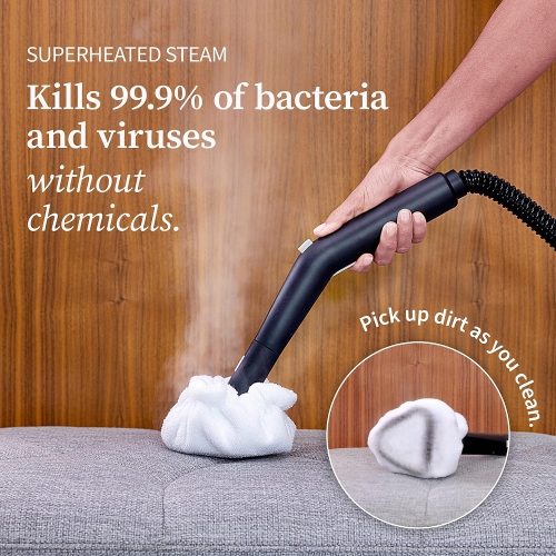 Powerful, Heavy-Duty, & Portable Multipurpose Steamer for Floors, Cars, Tiles, and Grout. Chemical-Free Disinfection for Home Use, Effectively Kills