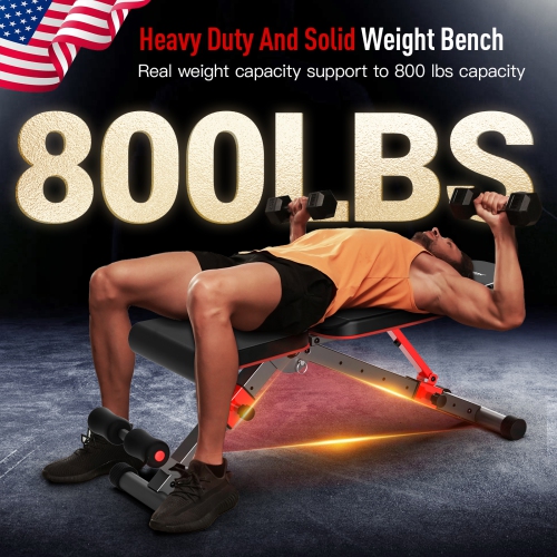 HARISON – Banc d'exercice réglable avec extension des jambes et coussin de flexion, banc d'exercice incliné plat et décliné pour entraînement à