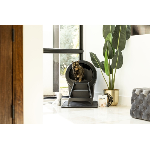 Litter-Robot 4 Complete Bundle by Whisker, Black - Automatic, Self-Cleaning Cat Litter Box, Includes 1 Year of WhiskerCare