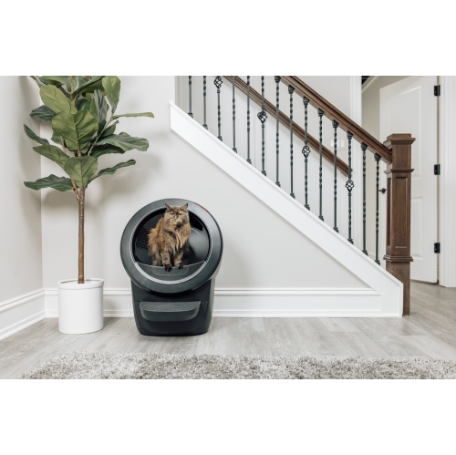 Litter-Robot 4 Complete Bundle by Whisker, Black - Automatic, Self-Cleaning Cat Litter Box, Includes 1 Year of WhiskerCare
