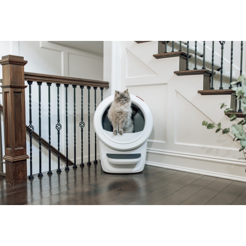 Litière Robot 4 Complete Bundle de Whisker, blanc - Boîte à litière autonettoyante automatique pour chats, comprend 1 an d'abonnement à WhiskerCare