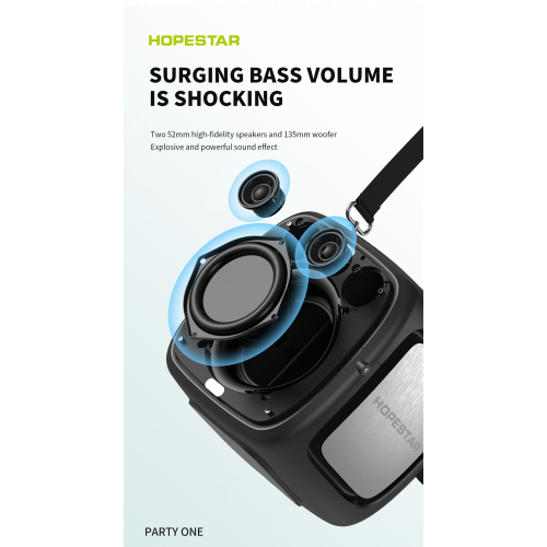 Portable 80W Waterproof Bluetooth Speaker, 12500mAh TWS LED Lights with Two Microphones, Black