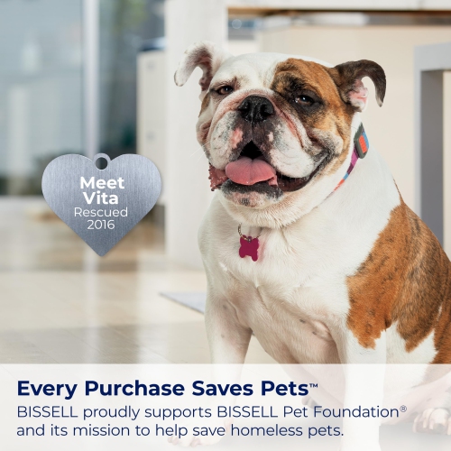 BISSELL Spot Clean Portable Deep Cleaner, Black