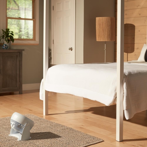 Ventilateur de table à circulation d'air TurboForce HT-904 de Honeywell, petit, blanc – Ventilateur personnel silencieux pour la maison ou le bureau,