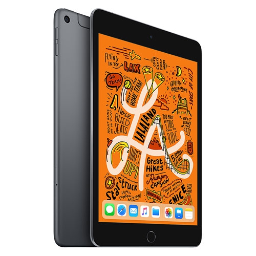 Apple iPad mini 7.9" 256GB with Wi-Fi & 4G LTE (5th Generation) - Space Grey by APPLE - Refurbished condition - CA$319.99