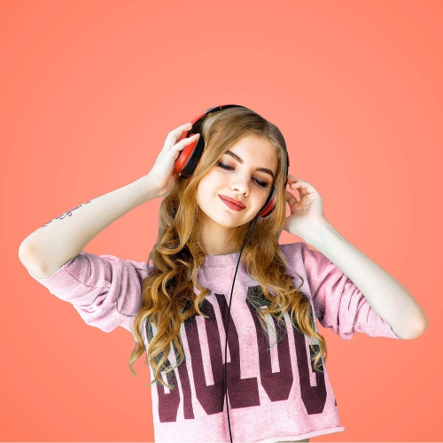 Over-Ear Headphones with Microphone, Lightweight Foldable & Portable Stereo Bass Headphones, Wired Headphones for Smartphone Tablet MP3,Vitality