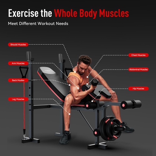 HARISON 6 in 1 Weight Bench Set with Leg Extension and Preacher Curl, 660 LBS Workout Bench Press Rack for Home Gym with Resistance Bands