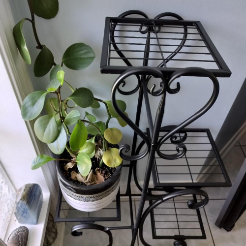 UNHO 4 Tiers Metal Wrought Iron Plant Stand Outdoor Garden Flower Display Rack Potted Shelf Holder Home Decoration