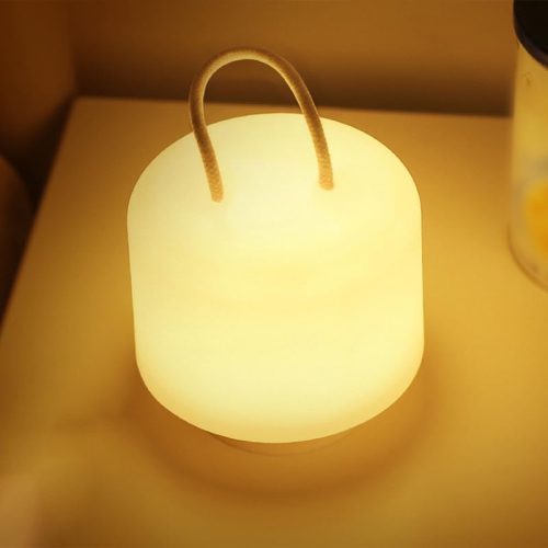 YOULIGHTS Small Night Light High Brightness Dual Color Brightness Memory Function Plug In Night Lamp Modern Small Table Lamp for Bedroom Sleeping