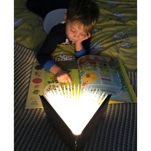 3D LED Book Night Light
