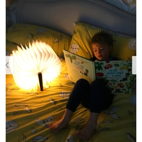 3D LED Book Night Light