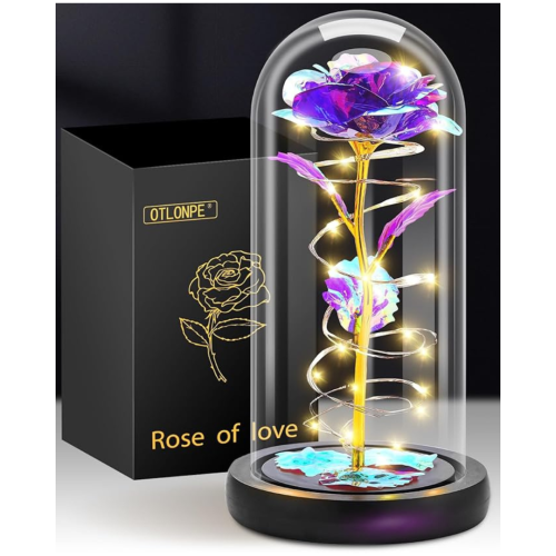 Christmas Birthday Gifts for Women Mom,Retirement Best Friend Rose Gifts for Women,Light Up Glass Rose Gifts for Mom Teacher,Valentines for Wife