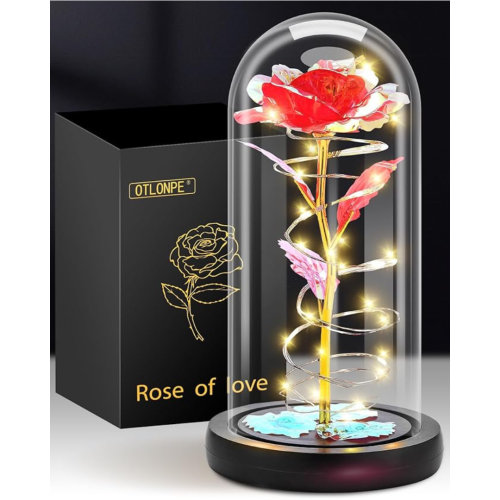 Christmas Birthday Gifts for Women Mom,Retirement Best Friend Rose Gifts for Women,Light Up Glass Rose Gifts for Mom Teacher,Valentines for Wife