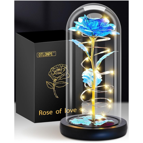 Christmas Birthday Gifts for Women Mom,Retirement Best Friend Rose Gifts for Women,Light Up Glass Rose Gifts for Mom Teacher,Valentines for Wife