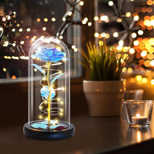 Christmas Birthday Gifts for Women Mom,Retirement Best Friend Rose Gifts for Women,Light Up Glass Rose Gifts for Mom Teacher,Valentines for Wife