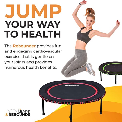 LEAPS & REBOUNDS 48" Mini Fitness Trampoline & Rebounder Gym Equipment, Gray