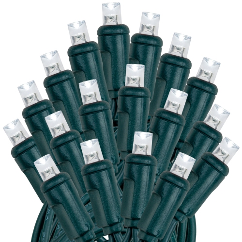 Novelty Lights 100 Light Solar Powered LED Outdoor Mini Light String, 50 Feet on Green Wire, 5mm Bulbs, Automatic Dusk to Dawn Operation