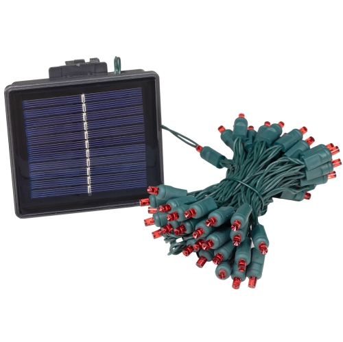 Novelty Lights 50 Light Solar Powered LED Outdoor Mini Light String, 12.5 Feet on Green Wire, 5mm Bulbs, Automatic Dusk to Dawn Operation